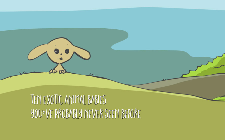Ten Exotic Animal Babies You’ve Probably Never Seen Before